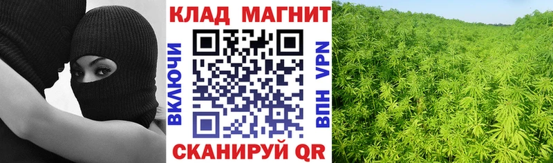 Купить наркотики Владимир Альфа ПВП Меф мяу мяу Гашиш Бошки Шишки