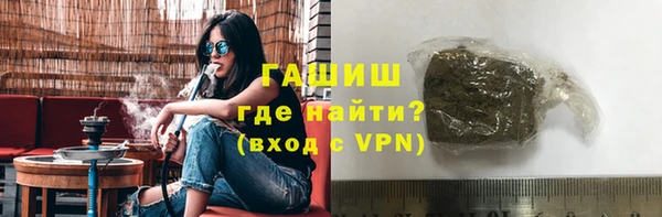 apvp Гусев