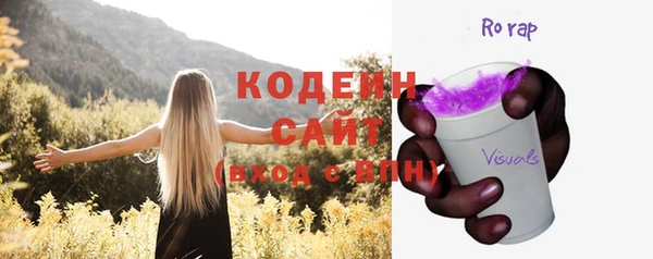 apvp Гусев