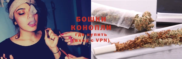 apvp Гусев