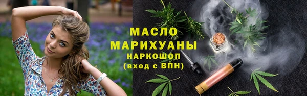apvp Гусев