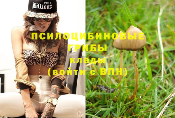 круглые Гусь-Хрустальный