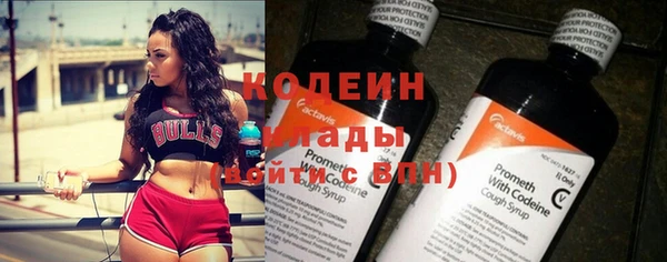 apvp Гусев