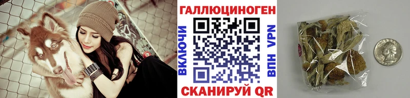 наркотики  Владимир  Галлюциногенные грибы Cubensis 