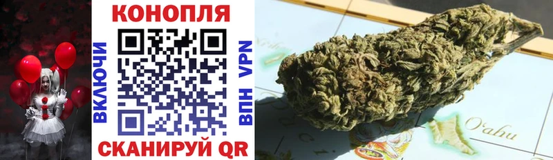 где можно купить наркотик  Владимир  мориарти официальный сайт  МАРИХУАНА White Widow 